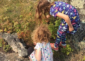 Summer camp learning about Edible Plants Carlsbad