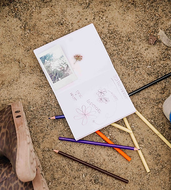 Forest school group learning from trail signage during guided outdoor exploration and environmental education.